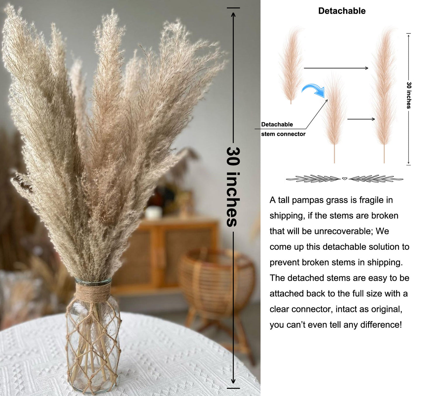 10 Stems natural grey pampas grass dried plants