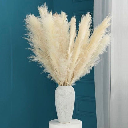 10 Stems natural beige pampas grass dried plants