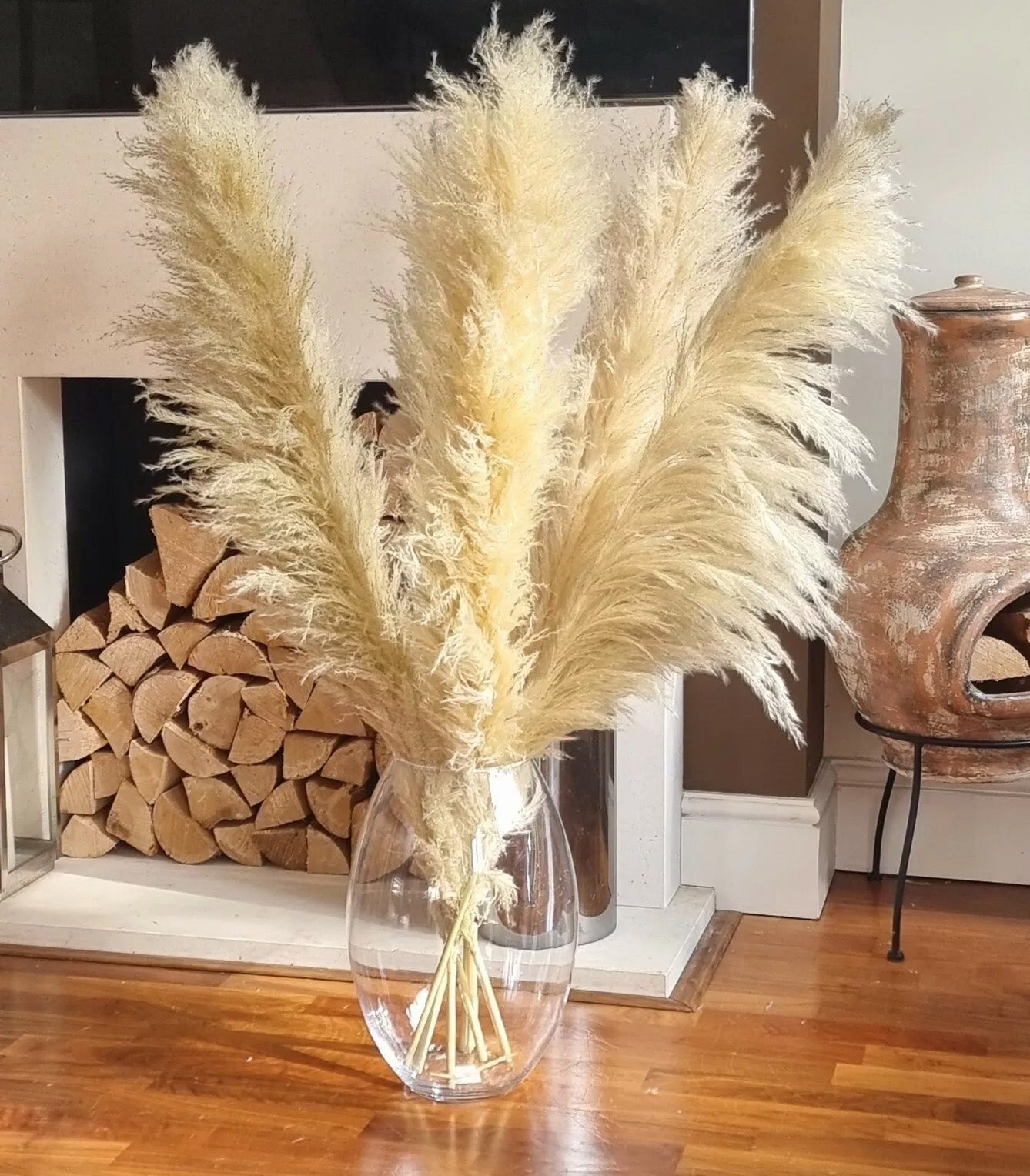 10 Stems natural beige pampas grass dried plants