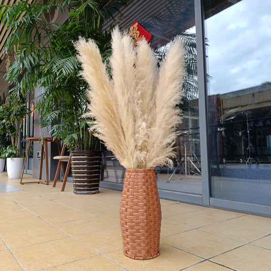 10 Stems natural beige pampas grass dried plants