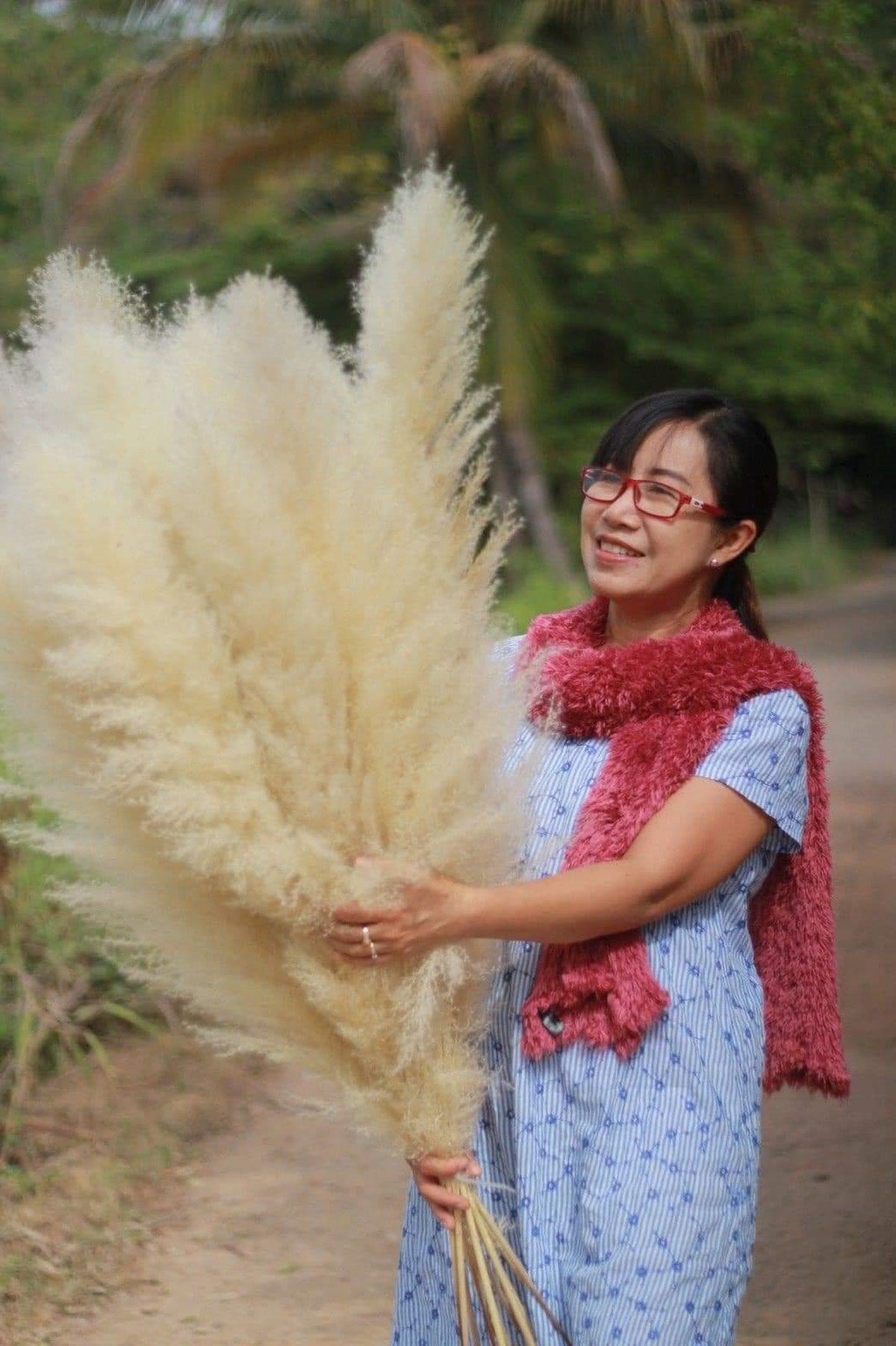 10 Stems natural beige pampas grass dried plants