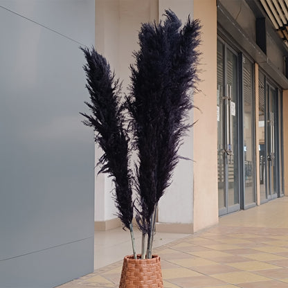 Customize 10pcs 4 feet dye to colors pampas grass dried flowers