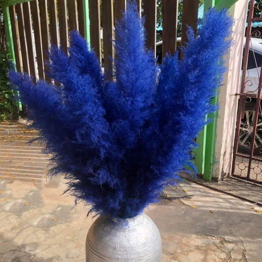 10 Stems dye to color blue pampas grass dried plants