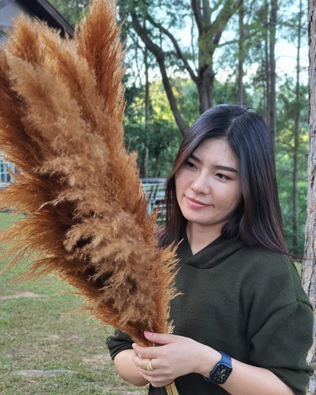 10 Stems dye to color brown pampas grass dried pants