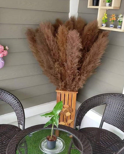 10 Stems dye to color brown pampas grass dried pants