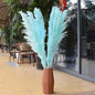 Customize 10pcs 4 feet dye to colors pampas grass dried flowers