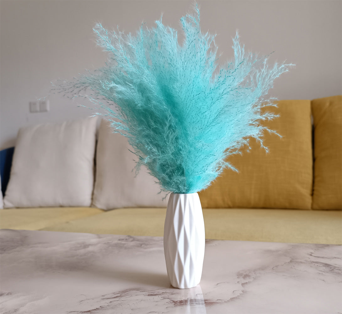 Cyan dried pampas grass fluffy plumes