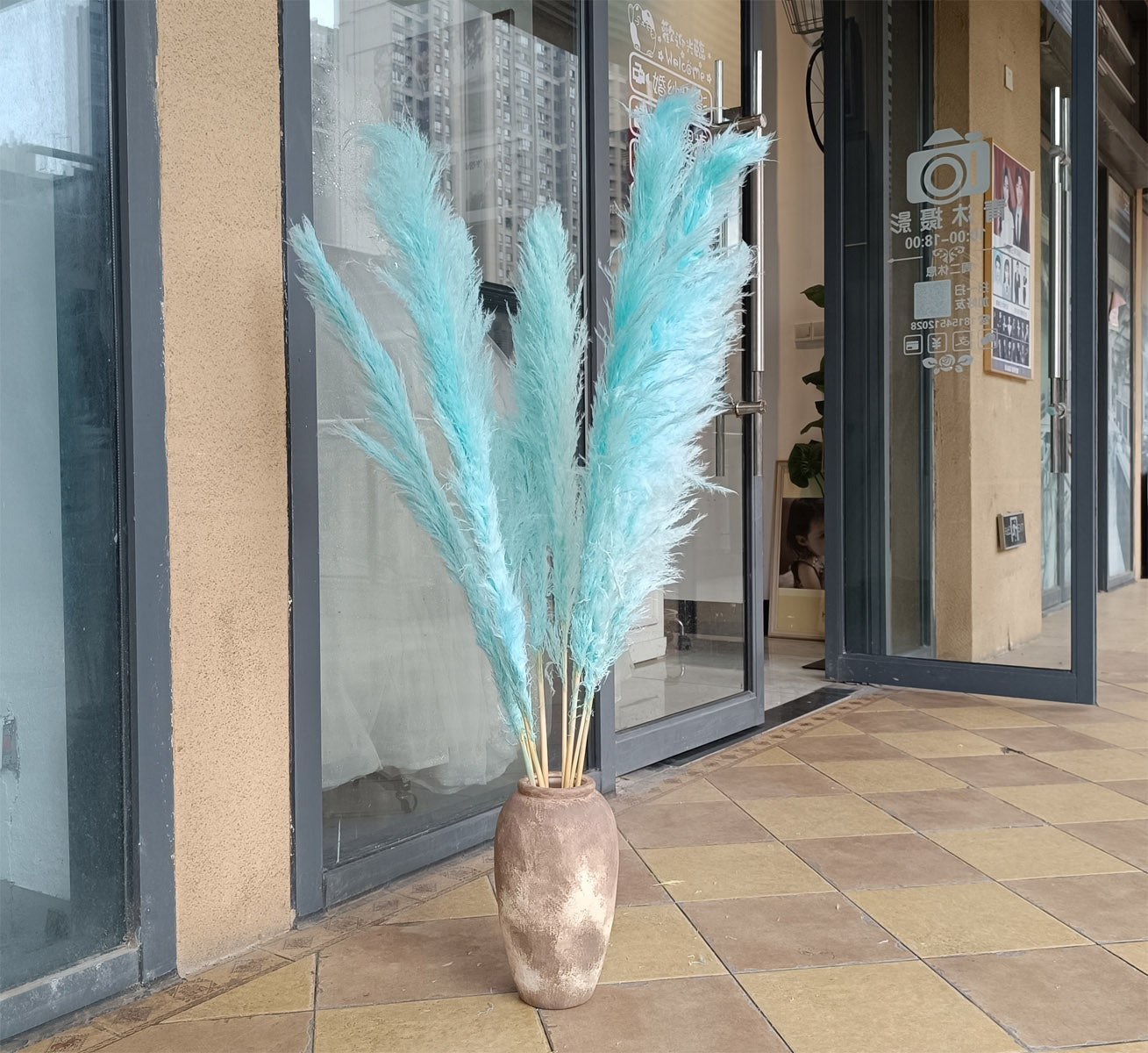 10 Stems dye to color cyan pampas grass dried plants