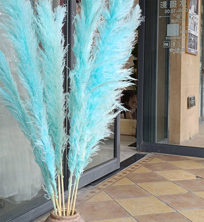 10 Stems dye to color cyan pampas grass dried plants