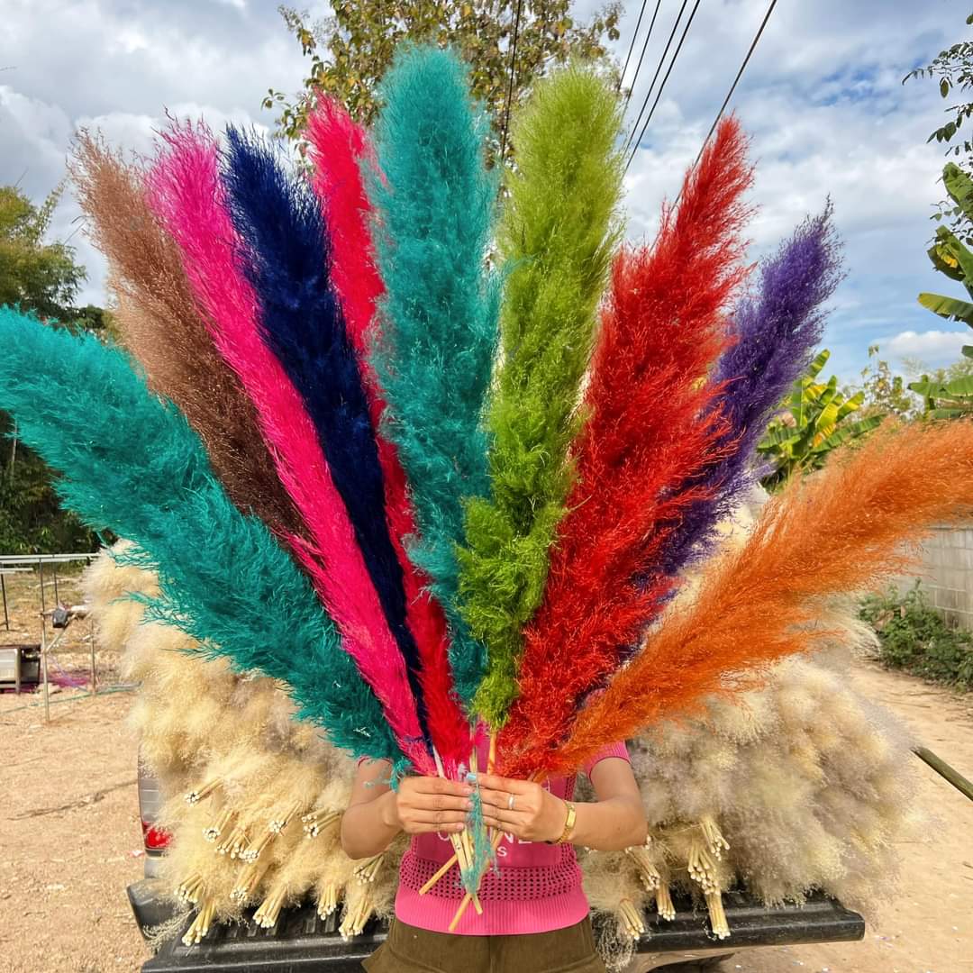 Customize 10pcs 4 feet dye to colors pampas grass dried flowers