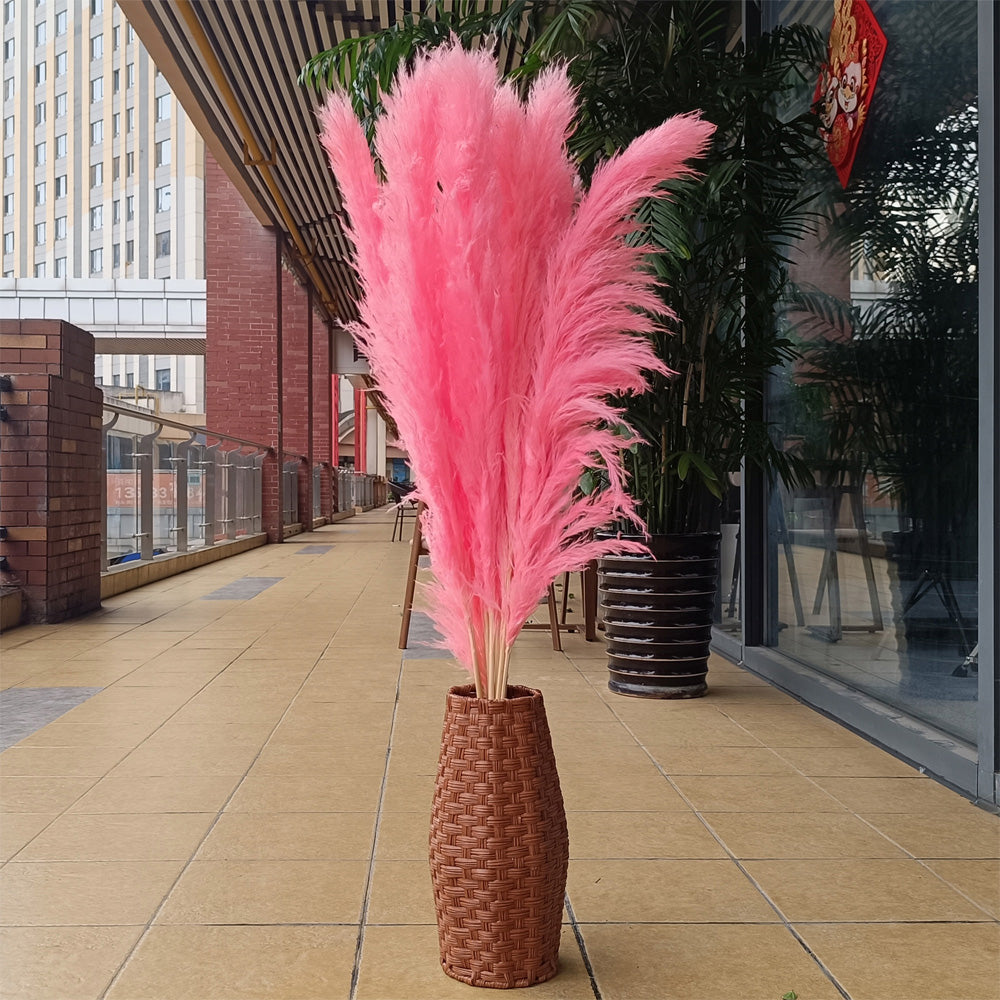 10 Stems dye to color flamingo pink pampas grass dried plants