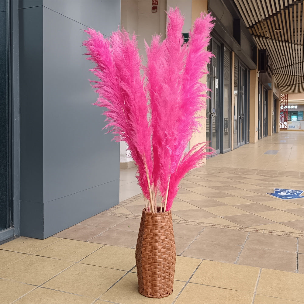 10 Stems dye to color fuchsia pampas grass dried plants