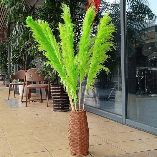 10 Stems dye to color green pampas grass dried plants