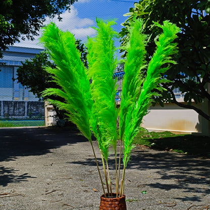 Customize 10pcs 4 feet dye to colors pampas grass dried flowers