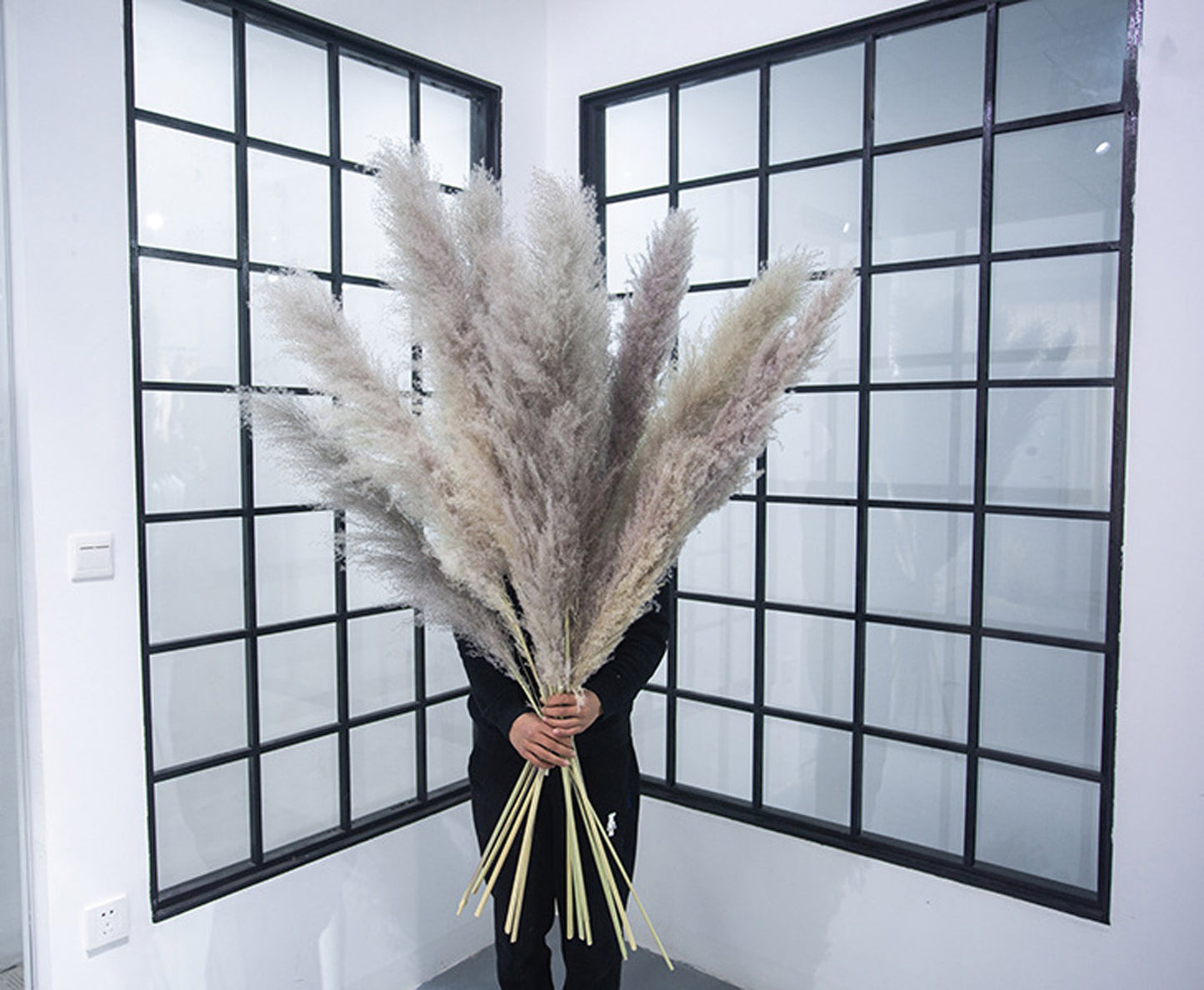 10 Stems natural grey pampas grass dried plants