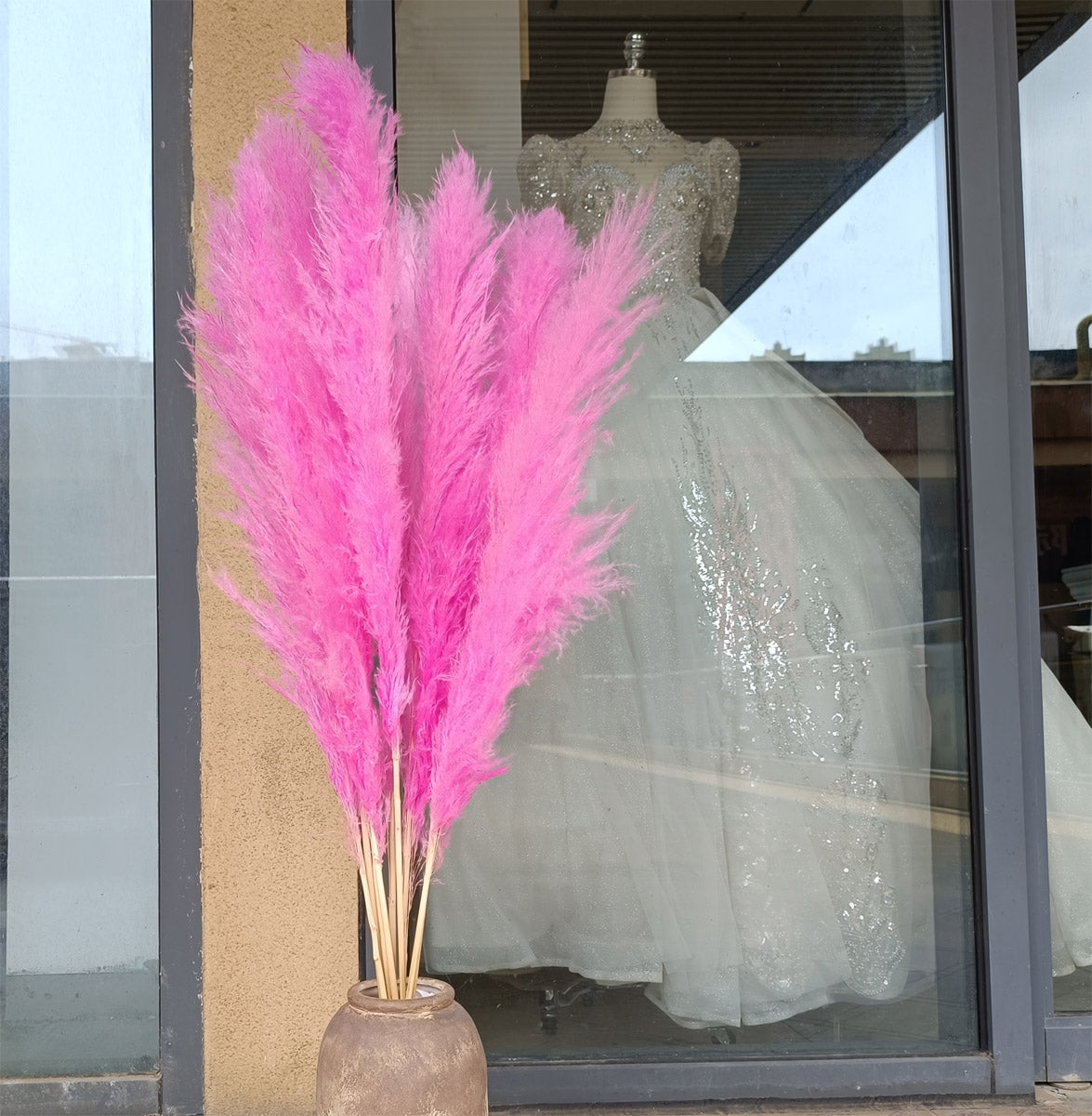 10 Stems dyed pink pampas grass dried flowers