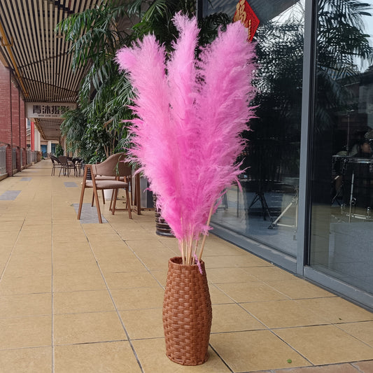 10 Stems dyed pink pampas grass dried flowers