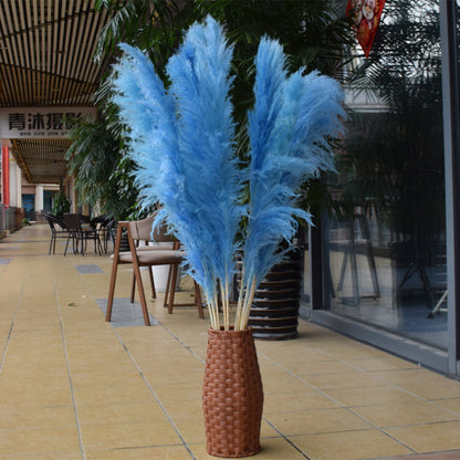 Customize 10pcs 4 feet dye to colors pampas grass dried flowers