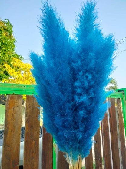 10 Stems dye to color light-blue pampas grass dried plants