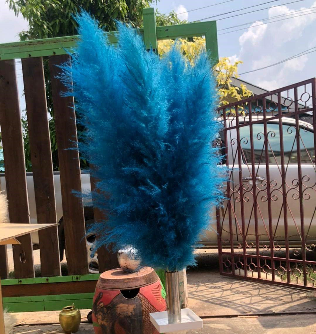 10 Stems dye to color light-blue pampas grass dried plants