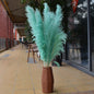 Customize 10pcs 4 feet dye to colors pampas grass dried flowers