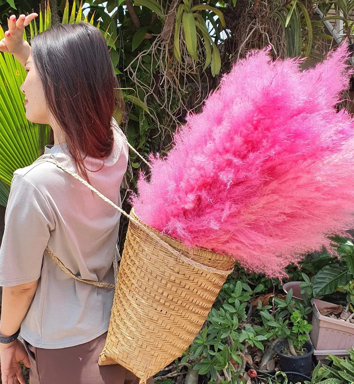 10 Stems dyed pink pampas grass dried flowers