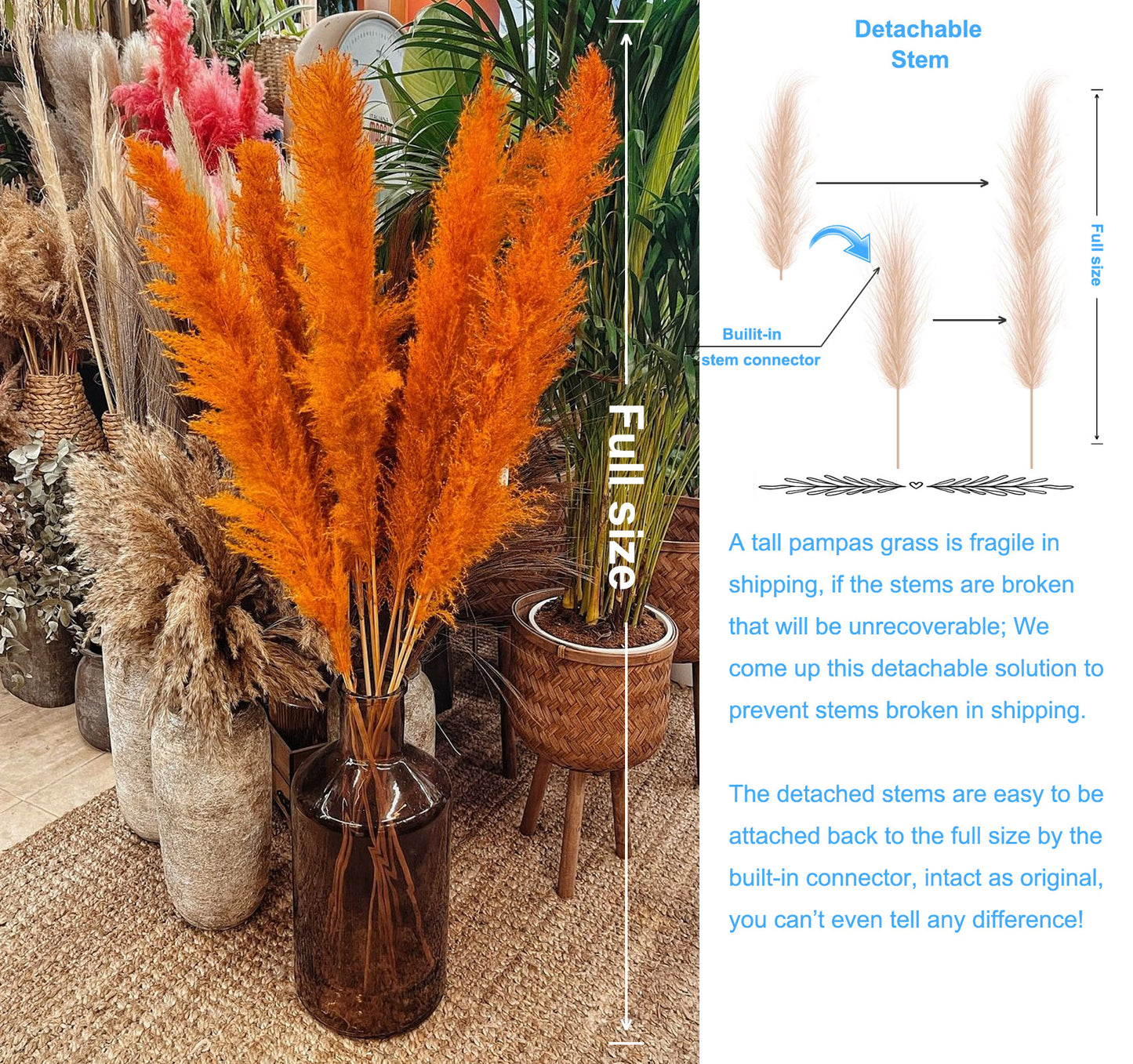 10 Stems dye to color orange pampas grass dried plants