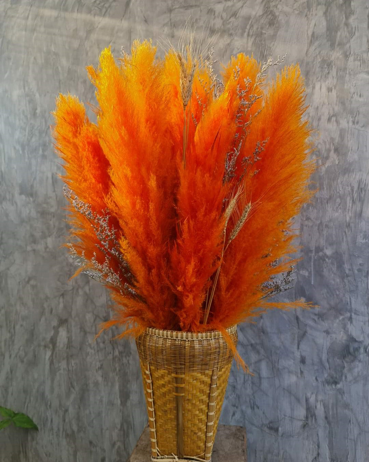 10 Stems dye to color orange pampas grass dried plants