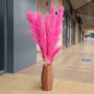 Customize 10pcs 4 feet dye to colors pampas grass dried flowers