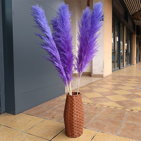 10 Stems dye to color purple pampas grass dried plants