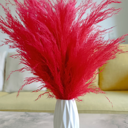 Red fluffy dried pampas grass plumes