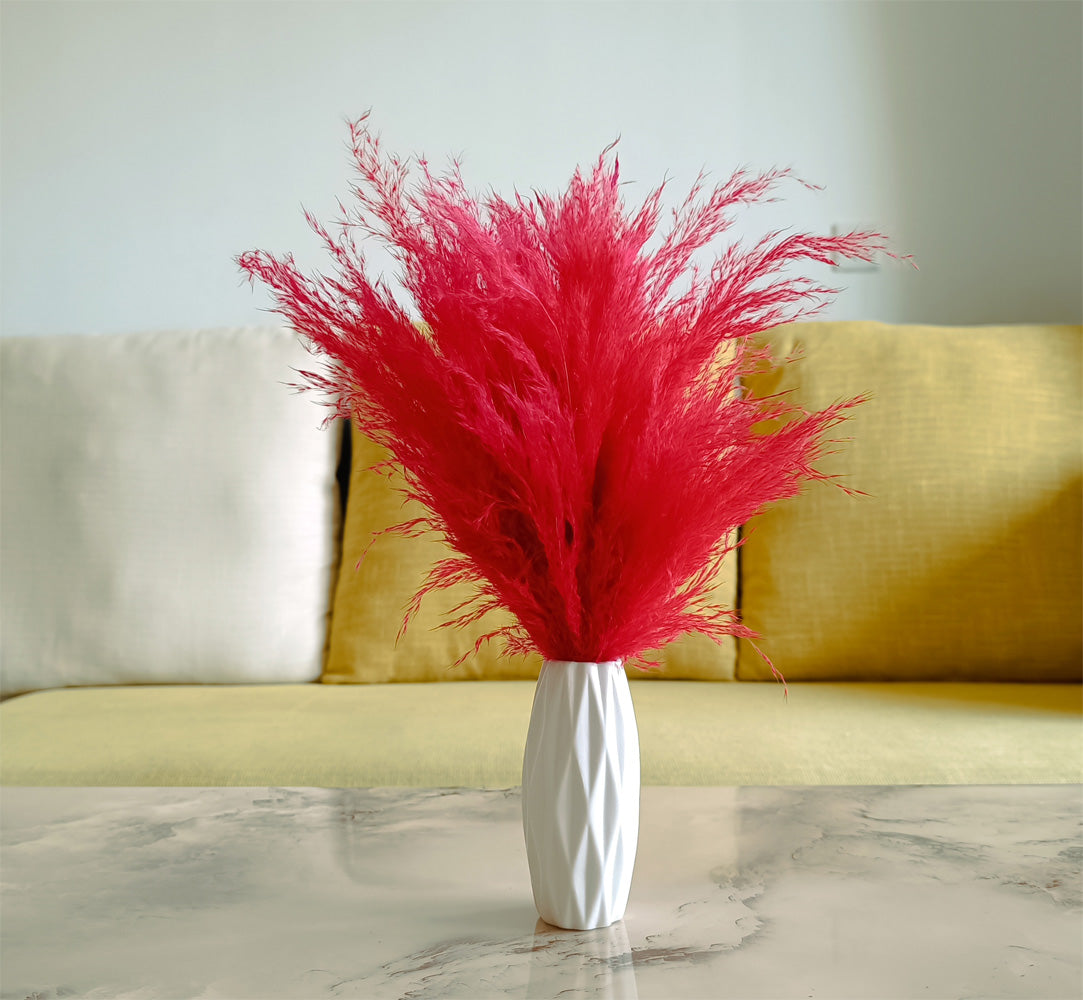 Red fluffy dried pampas grass plumes