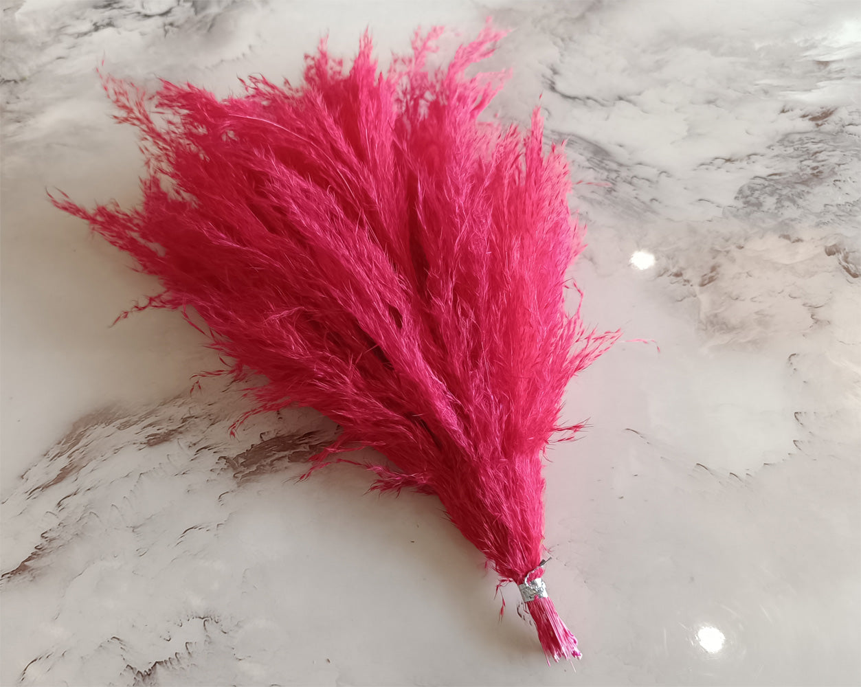 Red fluffy dried pampas grass plumes