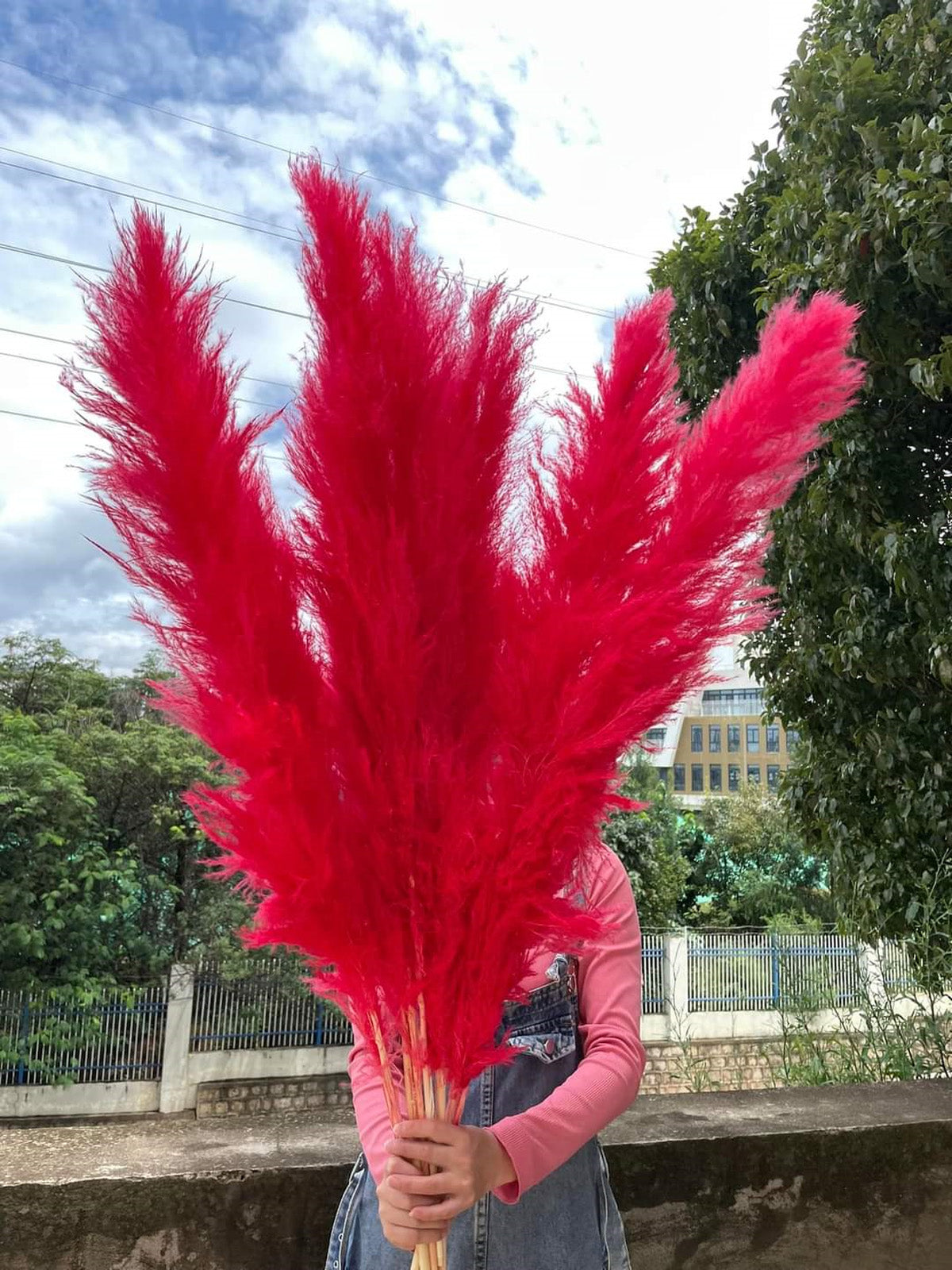 Customize 10pcs 4 feet dye to colors pampas grass dried flowers