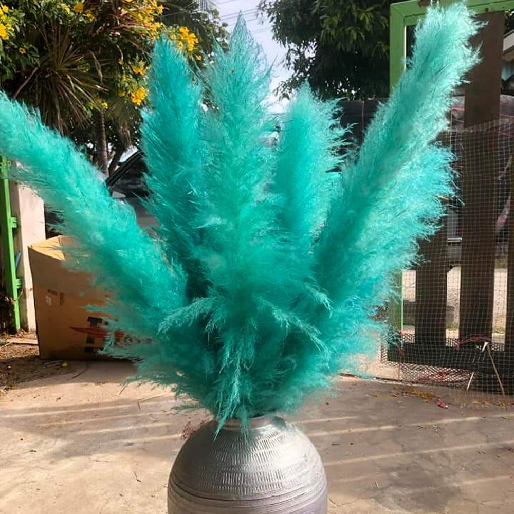 10 Stems dye to color teal pampas grass dried plants