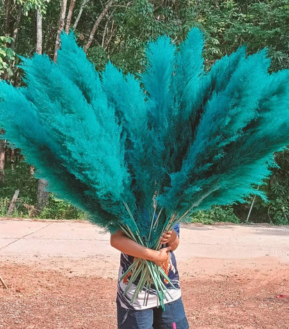 10 Stems dye to color teal pampas grass dried plants