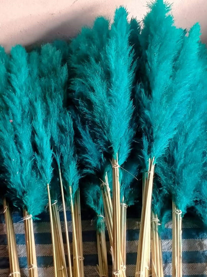 10 Stems dye to color teal pampas grass dried plants