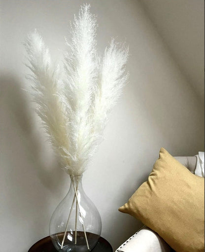 10 Stems white pampas grass dried flowers