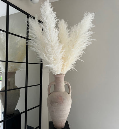 10 Stems white pampas grass dried flowers