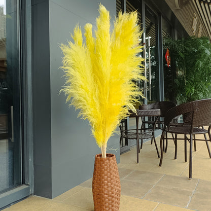 10 Stems dye to color yellow pampas grass dried plants decor