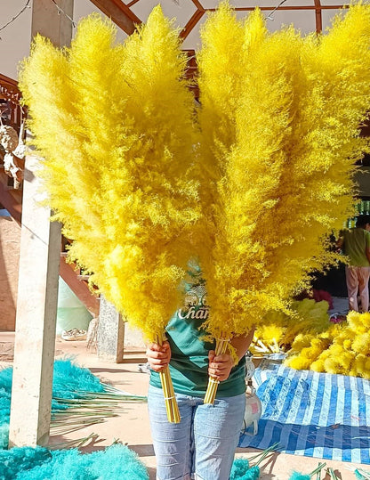 10 Stems dye to color yellow pampas grass dried plants decor