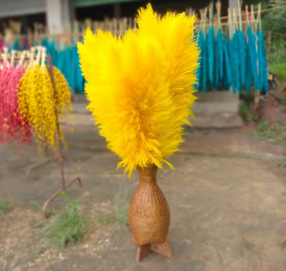 10 Stems dye to color yellow pampas grass dried plants decor