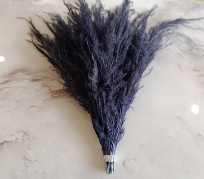 Black dried pampas grass fluffy plumes