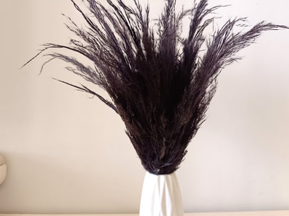 Black dried pampas grass fluffy plumes