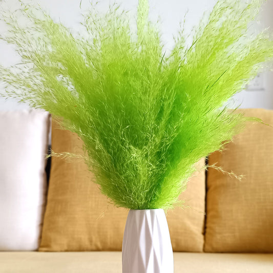 Green fluffy dried pampas grass plumes