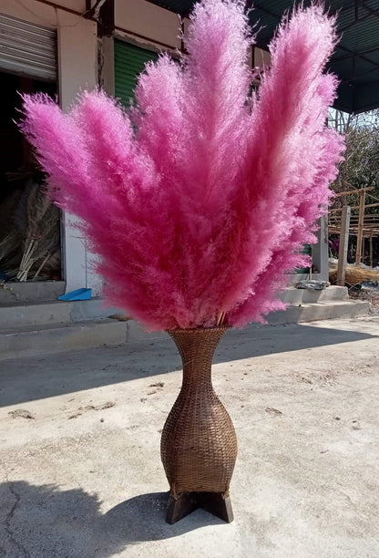 10 Stems dye to color hot pink pampas grass dried plants