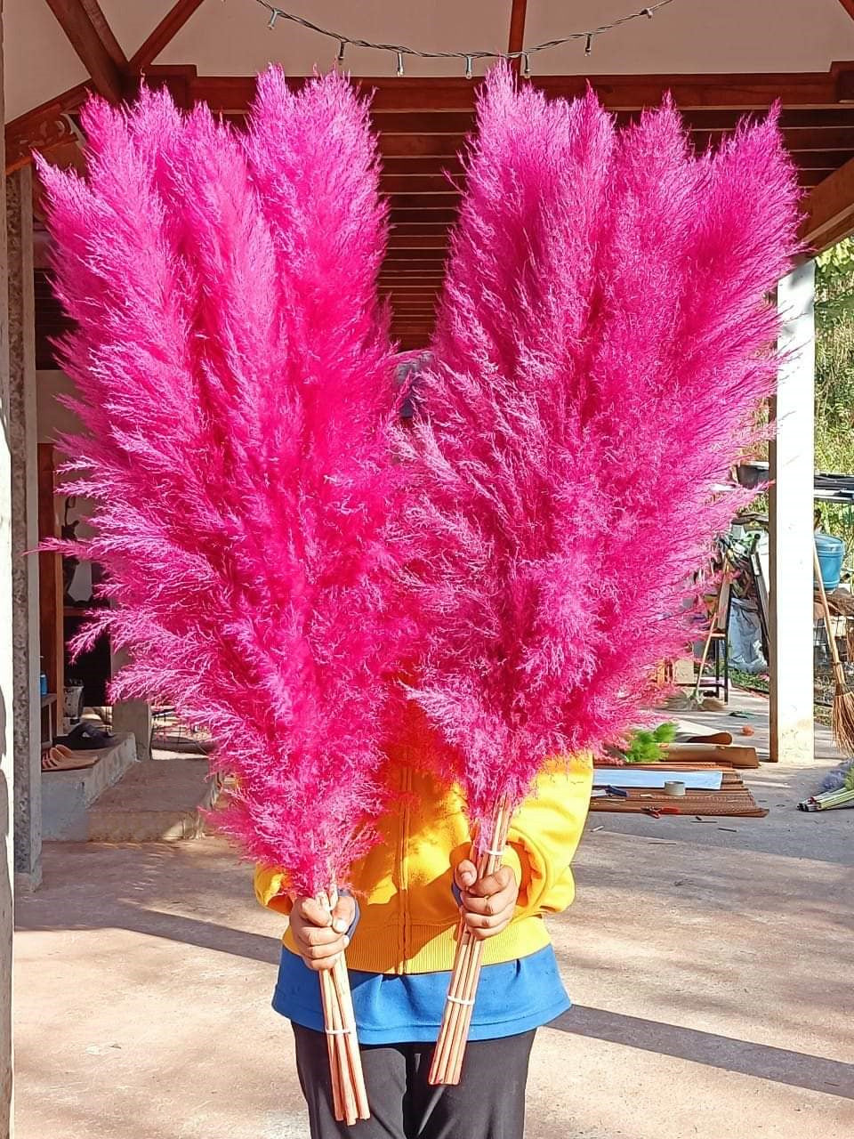 10 Stems dye to color hot pink pampas grass dried plants