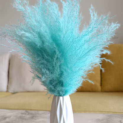 Cyan dried pampas grass fluffy plumes