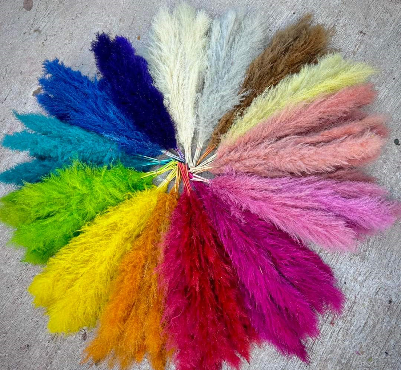 Customize 10pcs 4 feet dye to colors pampas grass dried flowers