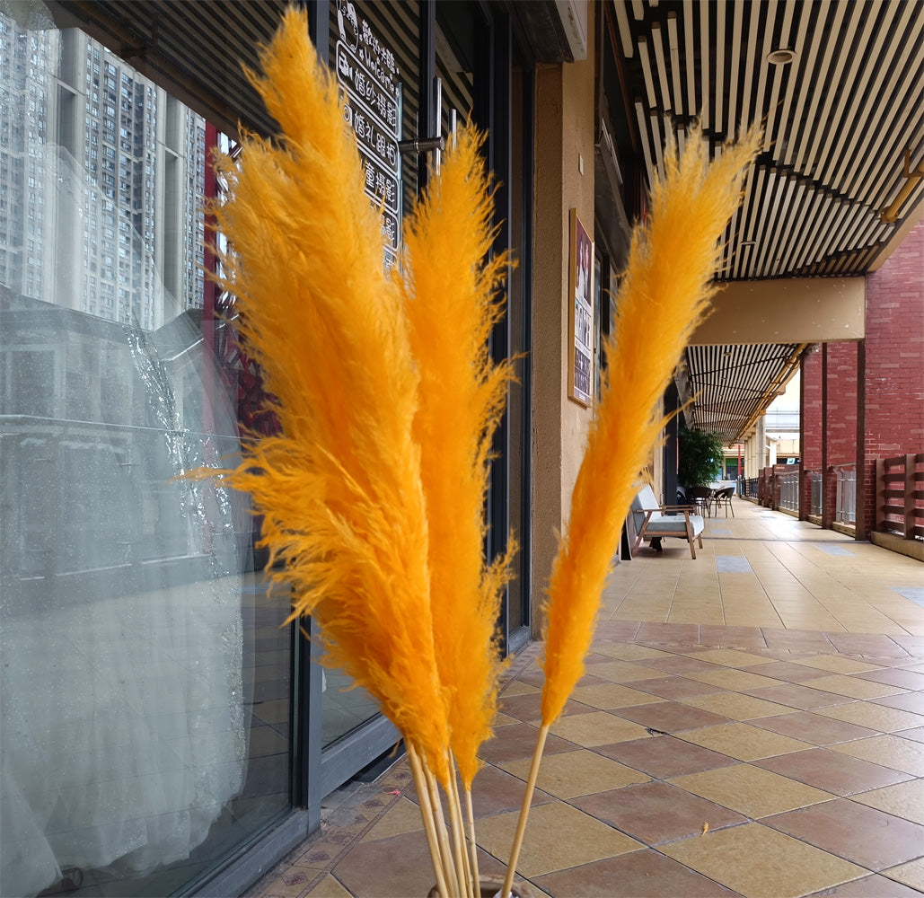 10 Stems dye to color orange pampas grass dried plants